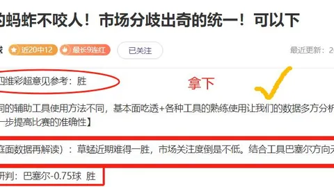 吴曦头球助力，申花险胜河南积分榜跃居榜首